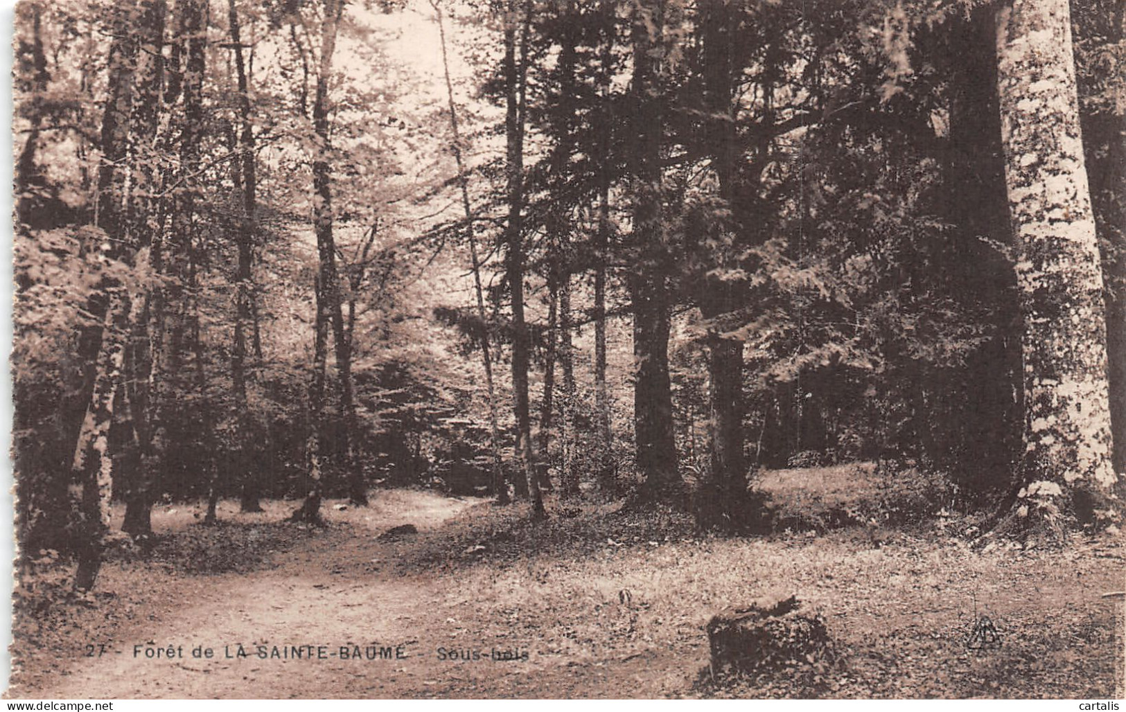 13-FORET DE LA SAINTE BAUME-N°4467-F/0195 - Autres & Non Classés