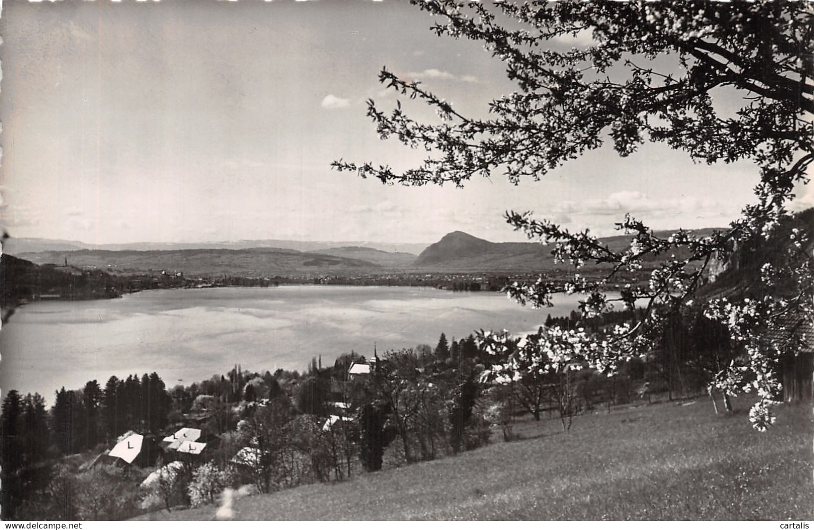 74-ANNECY VEYRIEU-N°4468-C/0161 - Annecy-le-Vieux