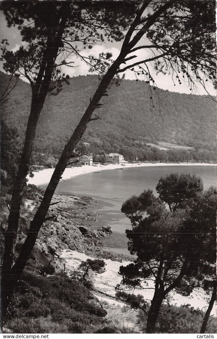 83-CAVALIERE ENVIRONS DU LAVANDOU-N°4469-D/0279 - Cavalaire-sur-Mer