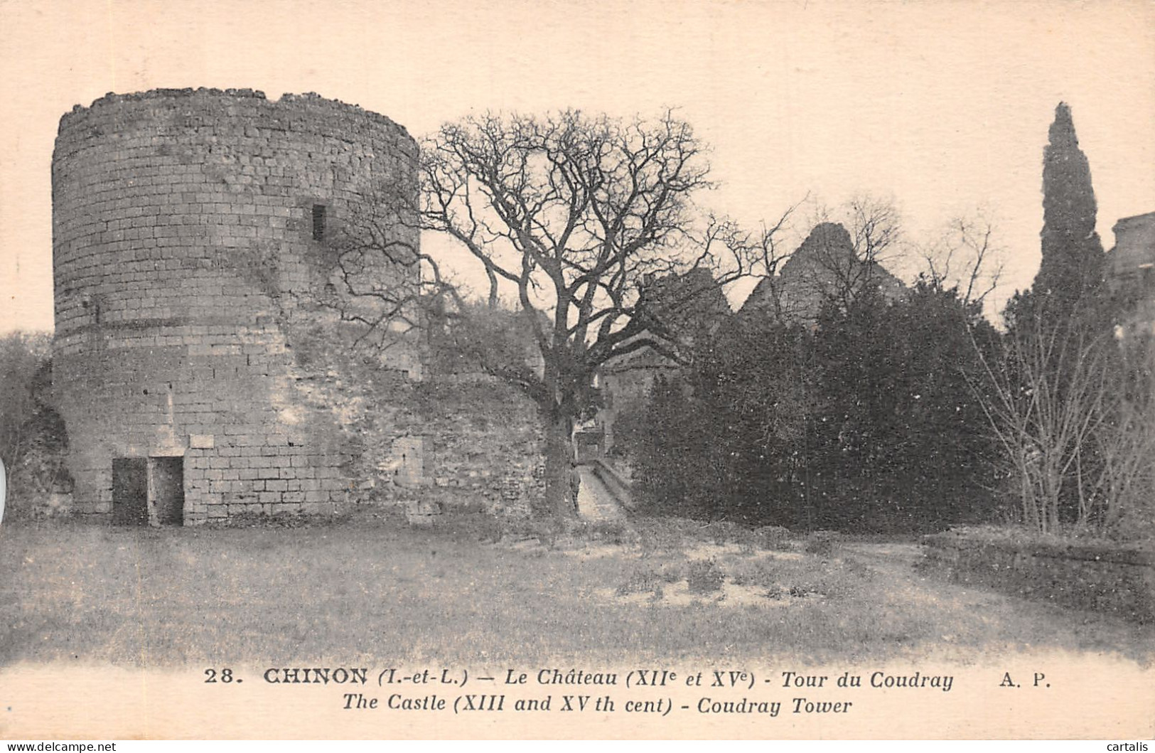 37-CHINON LE CHATEAU-N°4470-D/0287 - Chinon