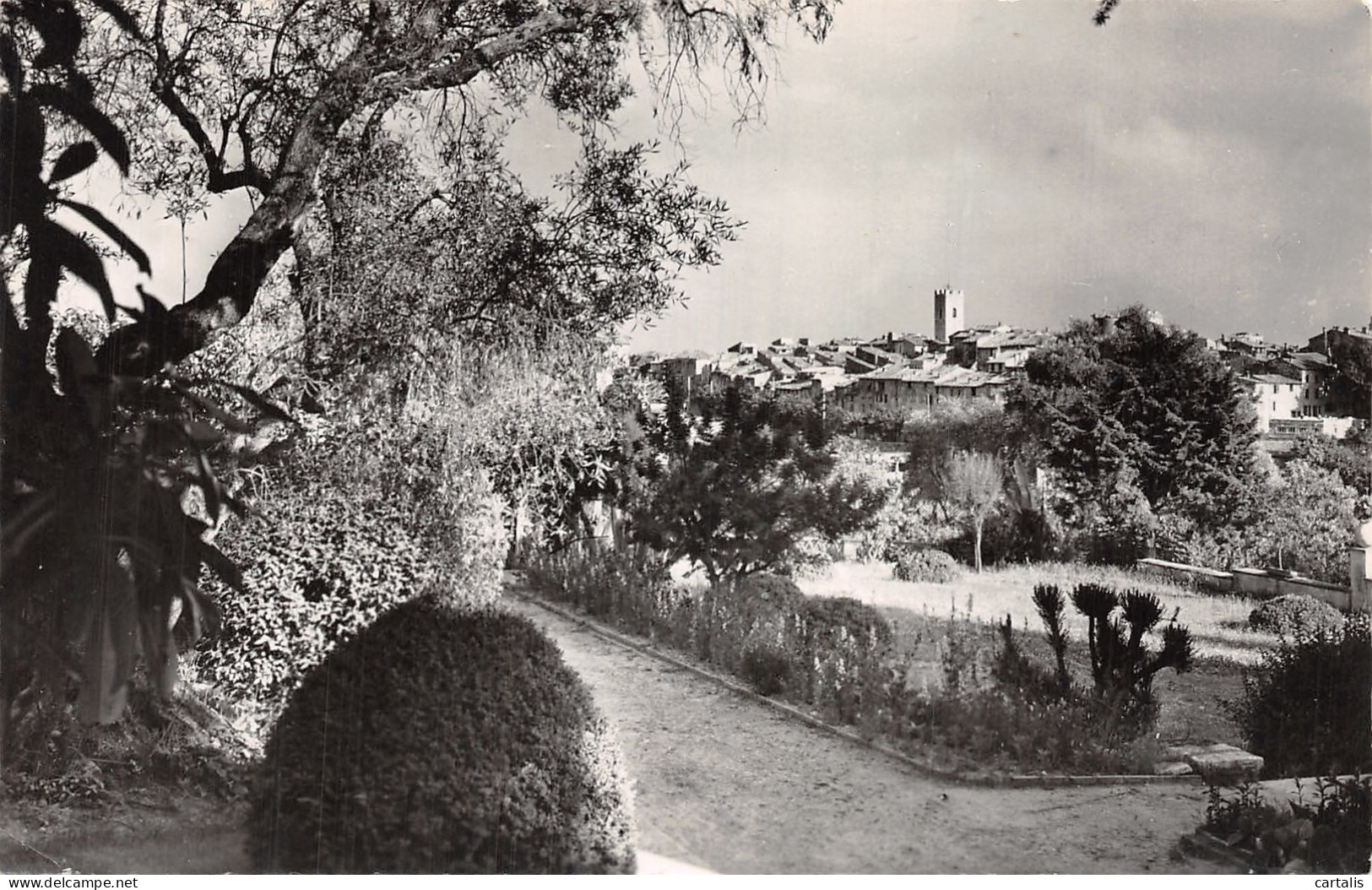 06-VENCE-N°4471-B/0161 - Vence