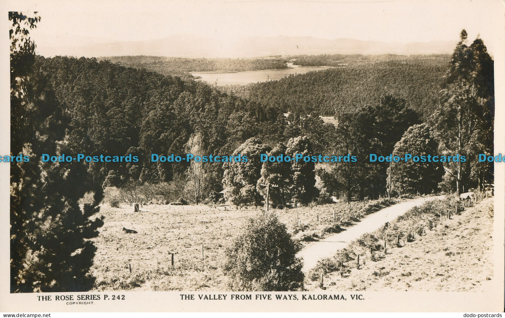 R011783 The Valley From Five Ways. Kalorama. Vic. The Rose. RP - Mondo