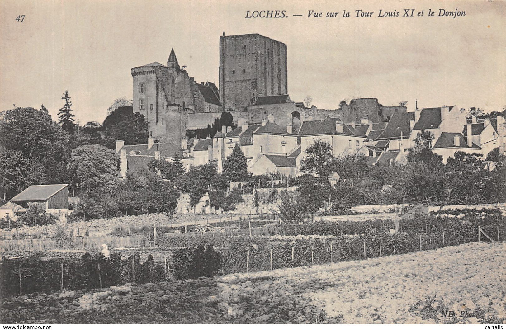 37-LOCHES-N°4471-F/0173 - Loches