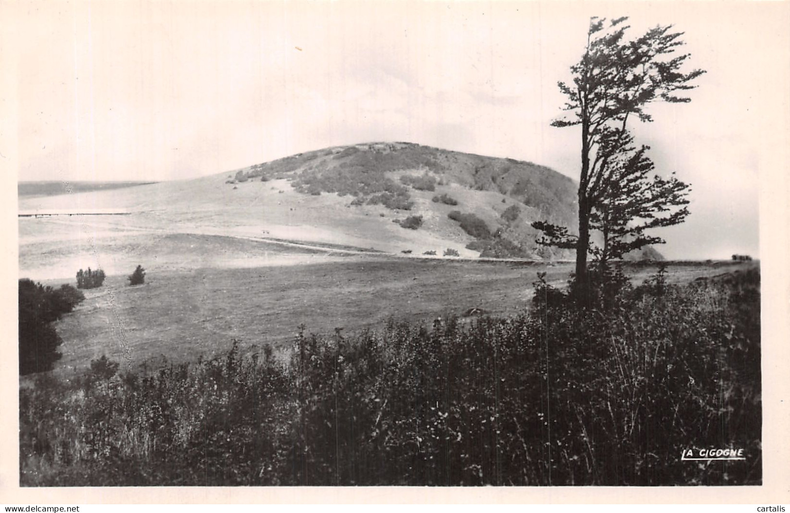 90-BALLON D ALSACE-N°4472-F/0339 - Sonstige & Ohne Zuordnung