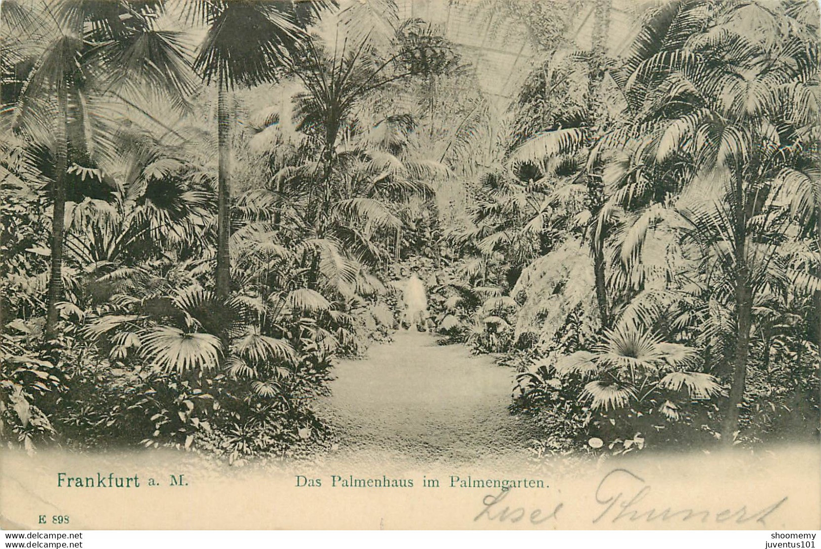 CPA Frankfurt Am Main-Das Palmenhaus Im Palmengarten-Timbre       L1945 - Frankfurt A. Main