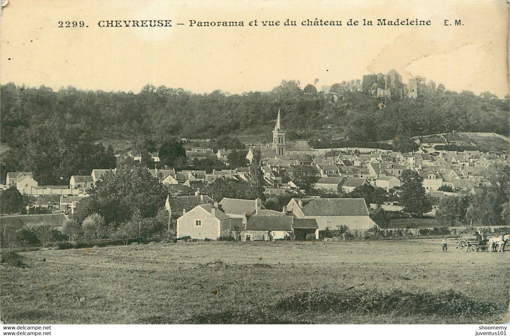 CPA Chevreuse-Panorama Et Vue Du Château De La Madeleine-2299    L2058 - Chevreuse