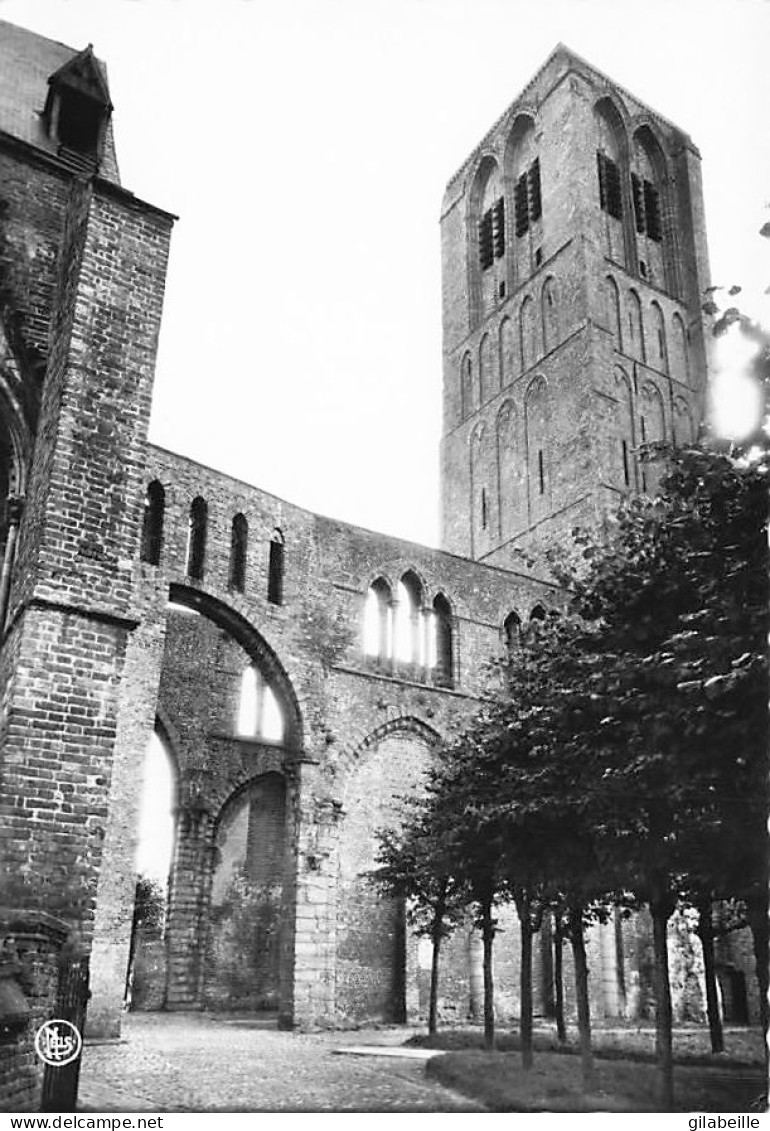 Damme -  Eglise Notre Dame -  Kerk Met Kerkhof - Hamme