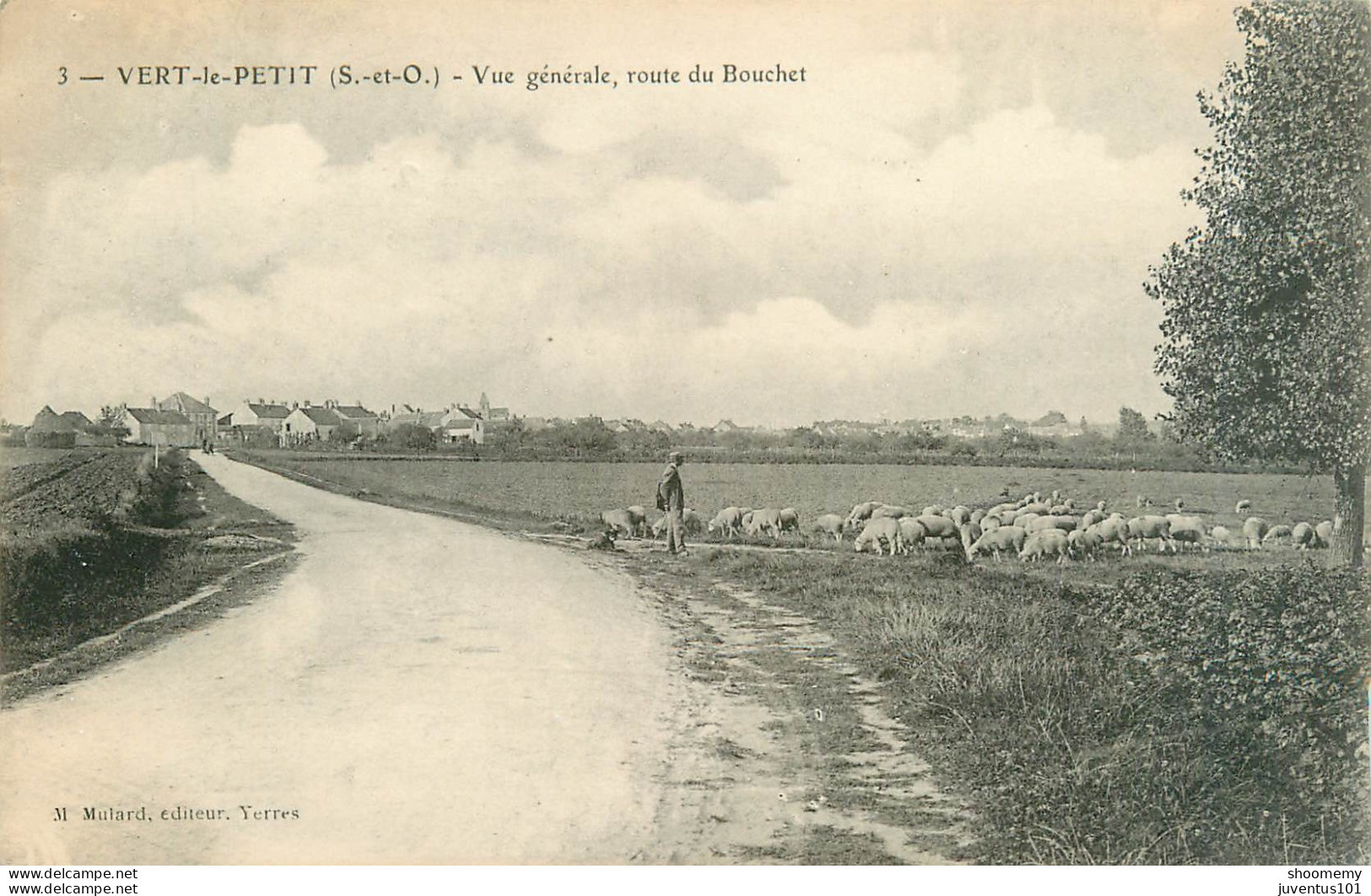 CPA Vert Le Petit-Vue Générale Route Du Bouchet-3-Timbre     L2328 - Vert-le-Petit