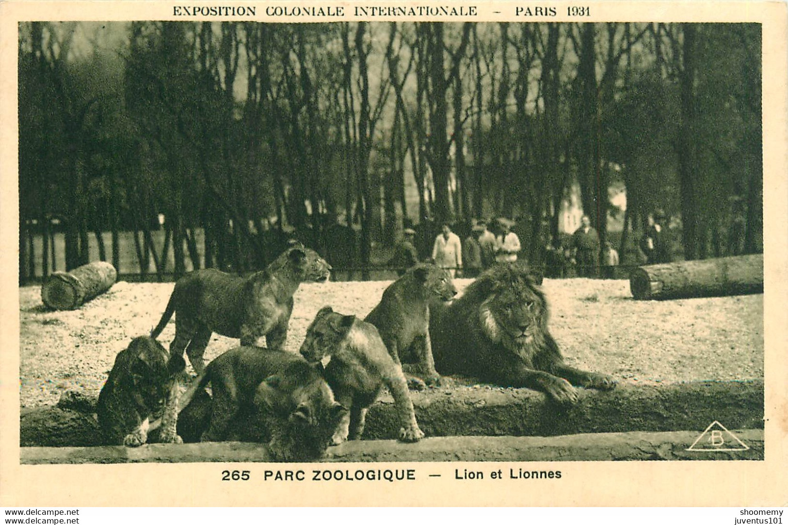 CPA Parc Zoologique-Lion Et Lionnes      L1094 - Löwen