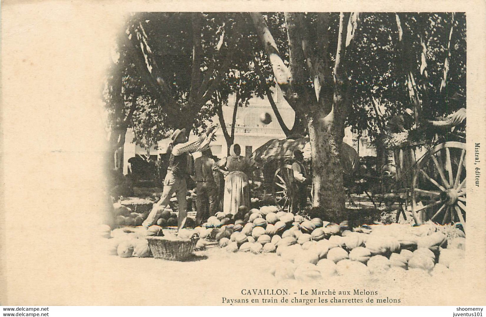 CPA Cavaillon-Le Marché Aux Melons-Paysans En Train De Charger Les Charrettes     L1696 - Cavaillon