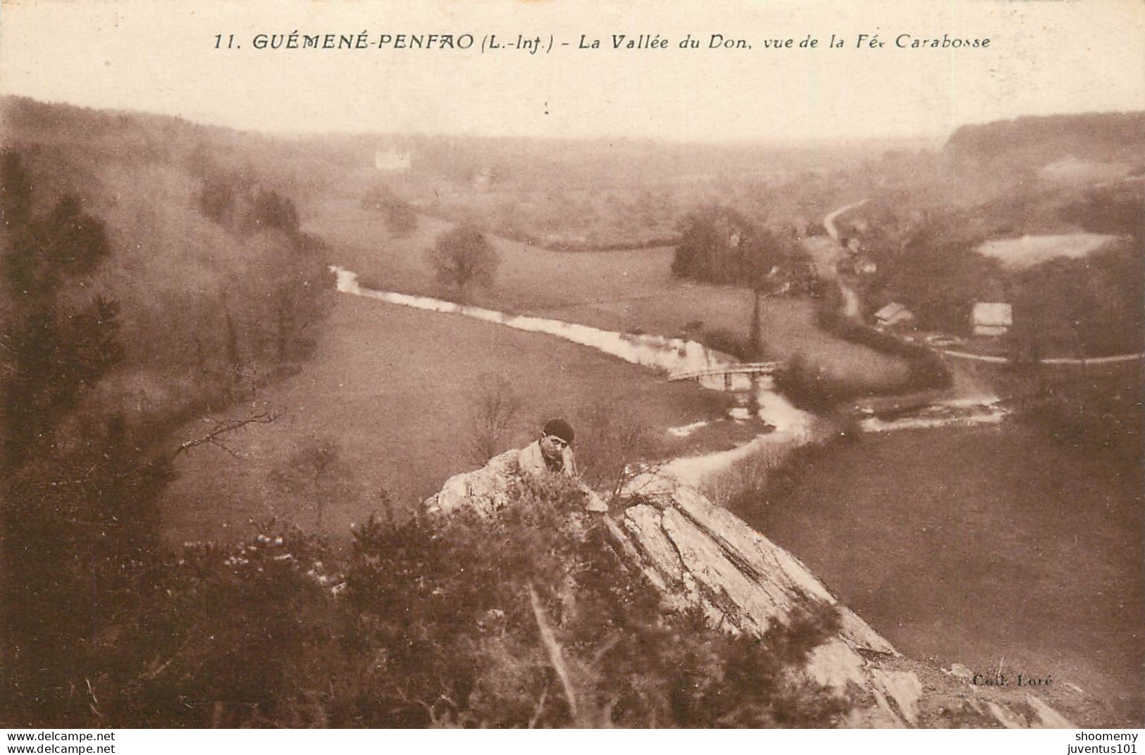 CPA Guémené Penfao-La Vallée Du Don,vue De La Fée Carabosse    L1471 - Guémené-Penfao
