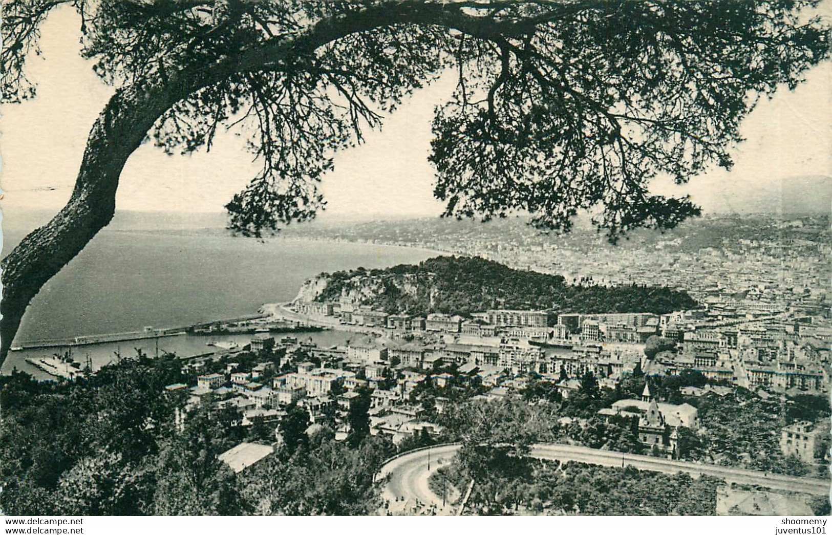 CPA Nice-Vue Générale Prise Du Mont Boron    L1459 - Cartas Panorámicas