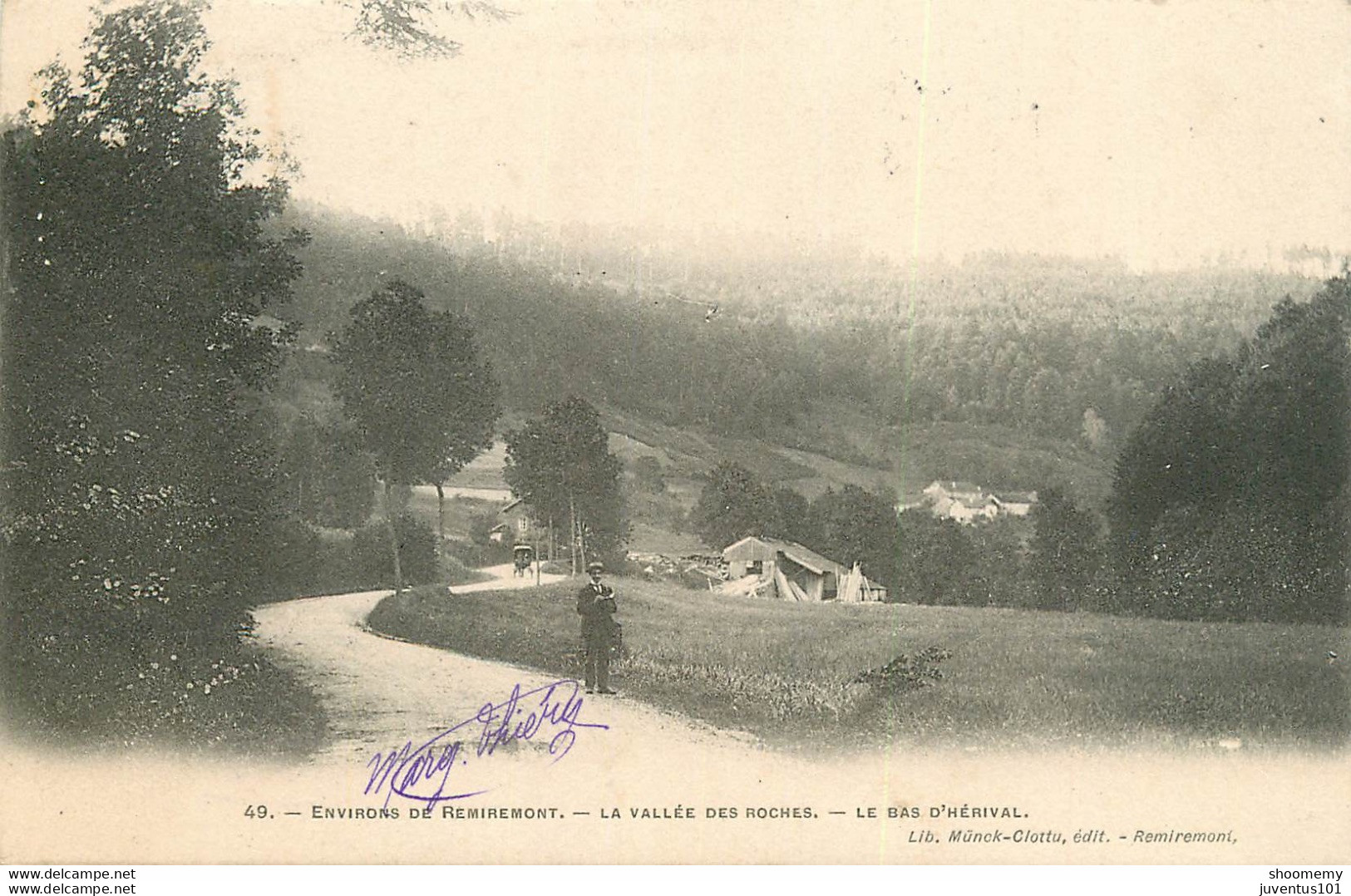 CPA Environs De Remiremont-La Vallée Des Roches-Le Bas D'Hérival-Timbre        L1654 - Remiremont