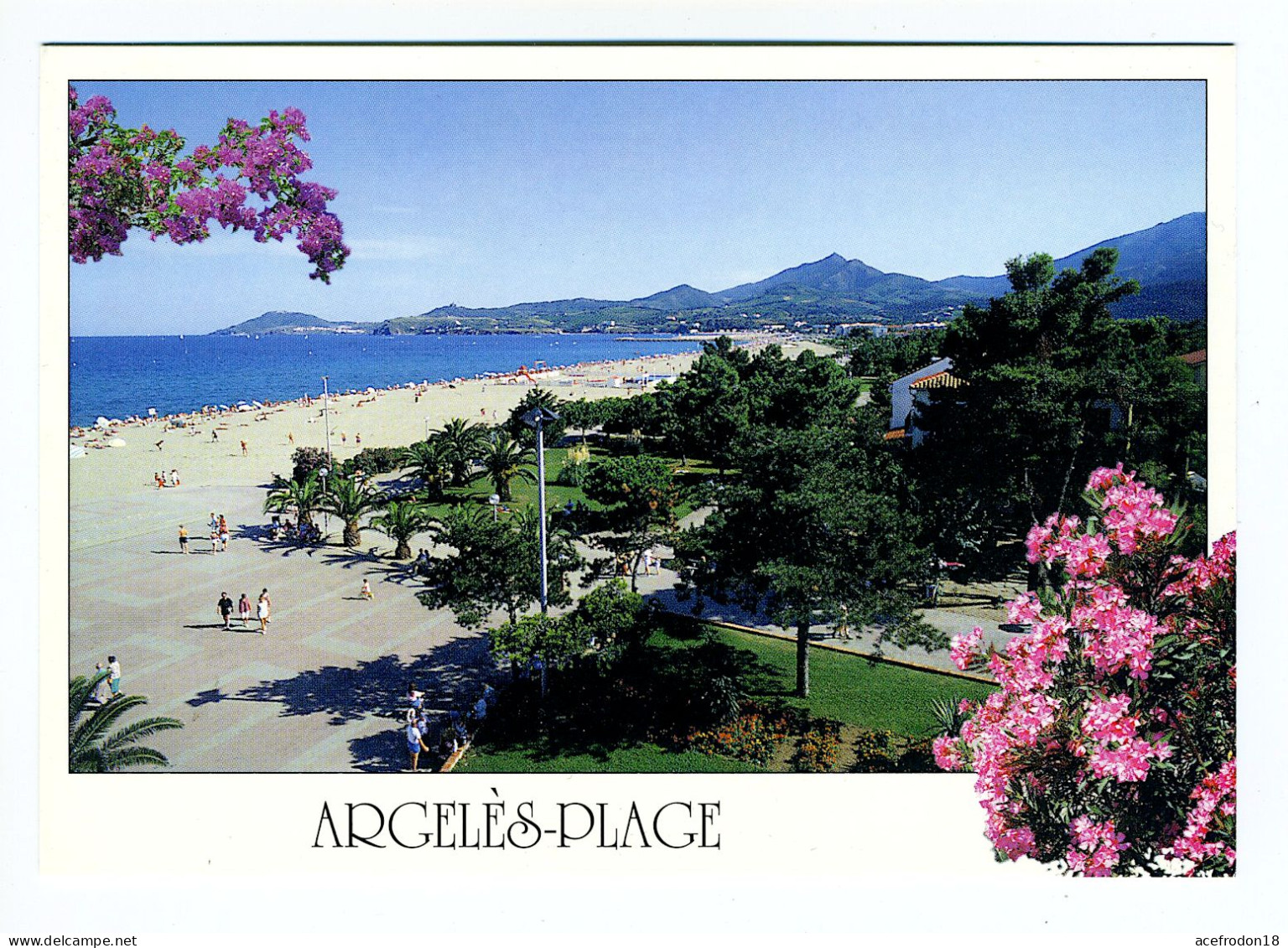 ARGELÈS PLAGE - Vue Générale De La Plage - Argeles Sur Mer