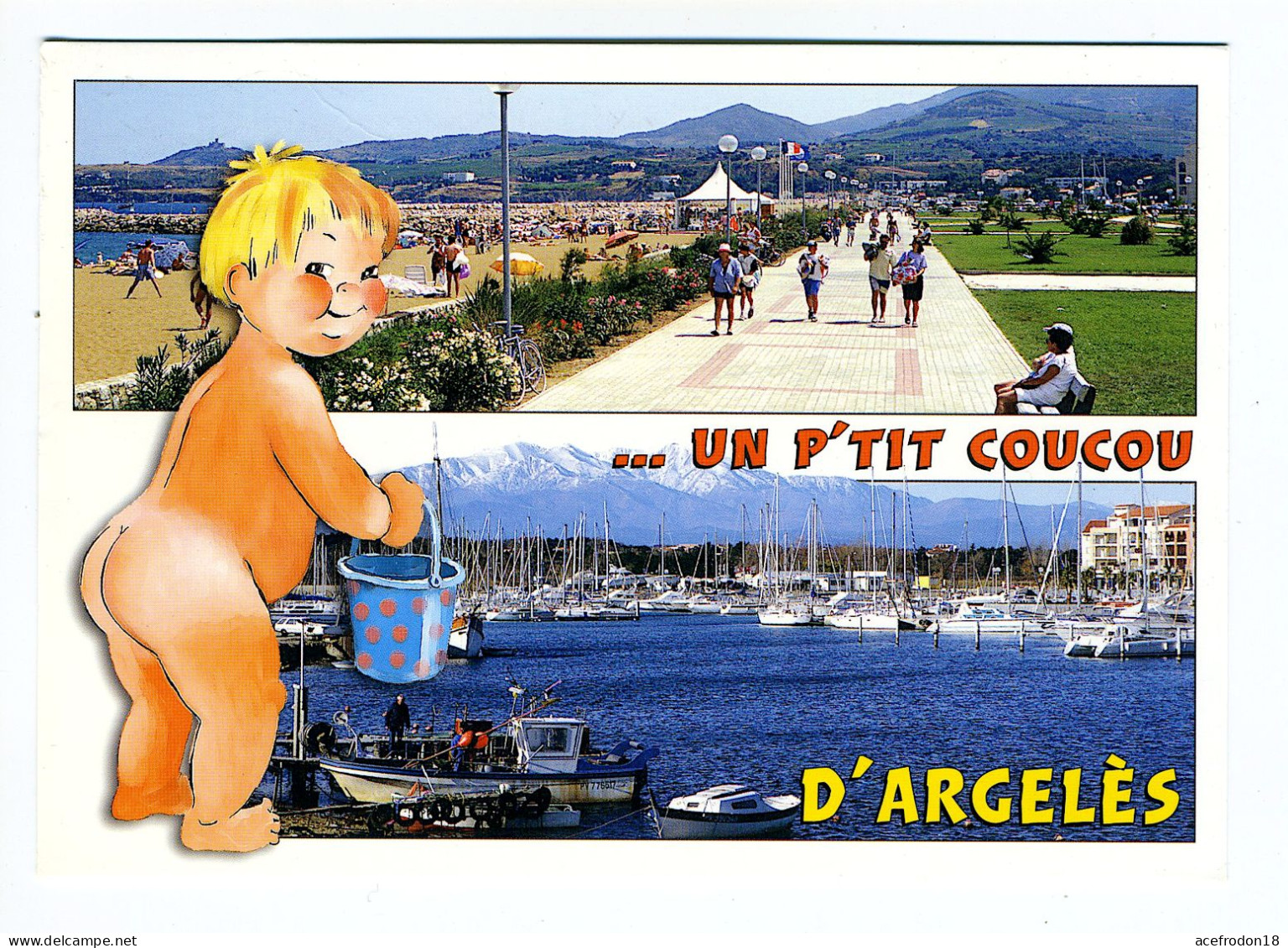 ARGELÈS PLAGE - Un P'tit Coucou - Vue Du Port De Plaisance - Argeles Sur Mer