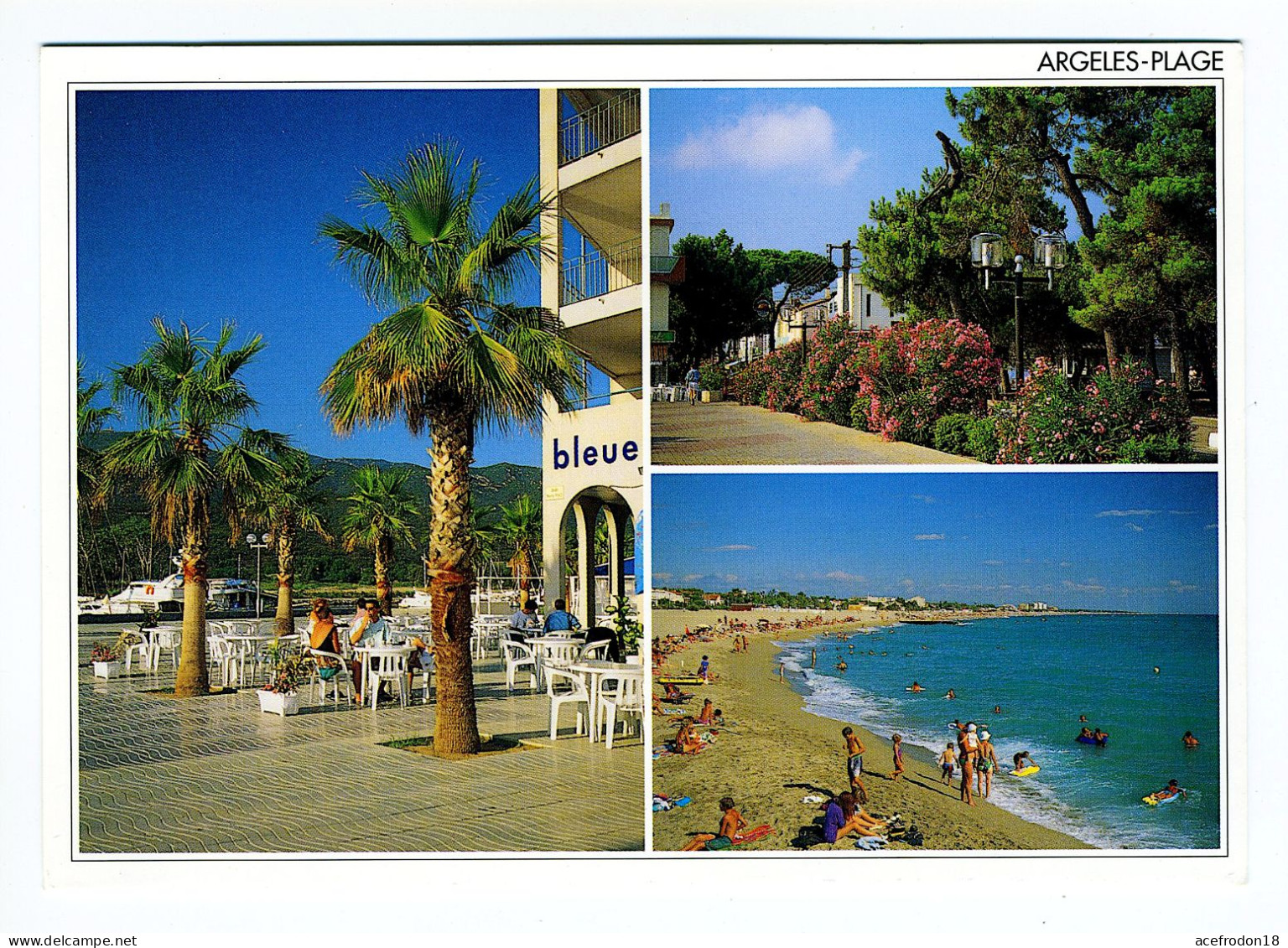 ARGELÈS PLAGE - Port-Argelès Et Sa Flore Méditerranéenne - La Promenade Des Pins - Argeles Sur Mer