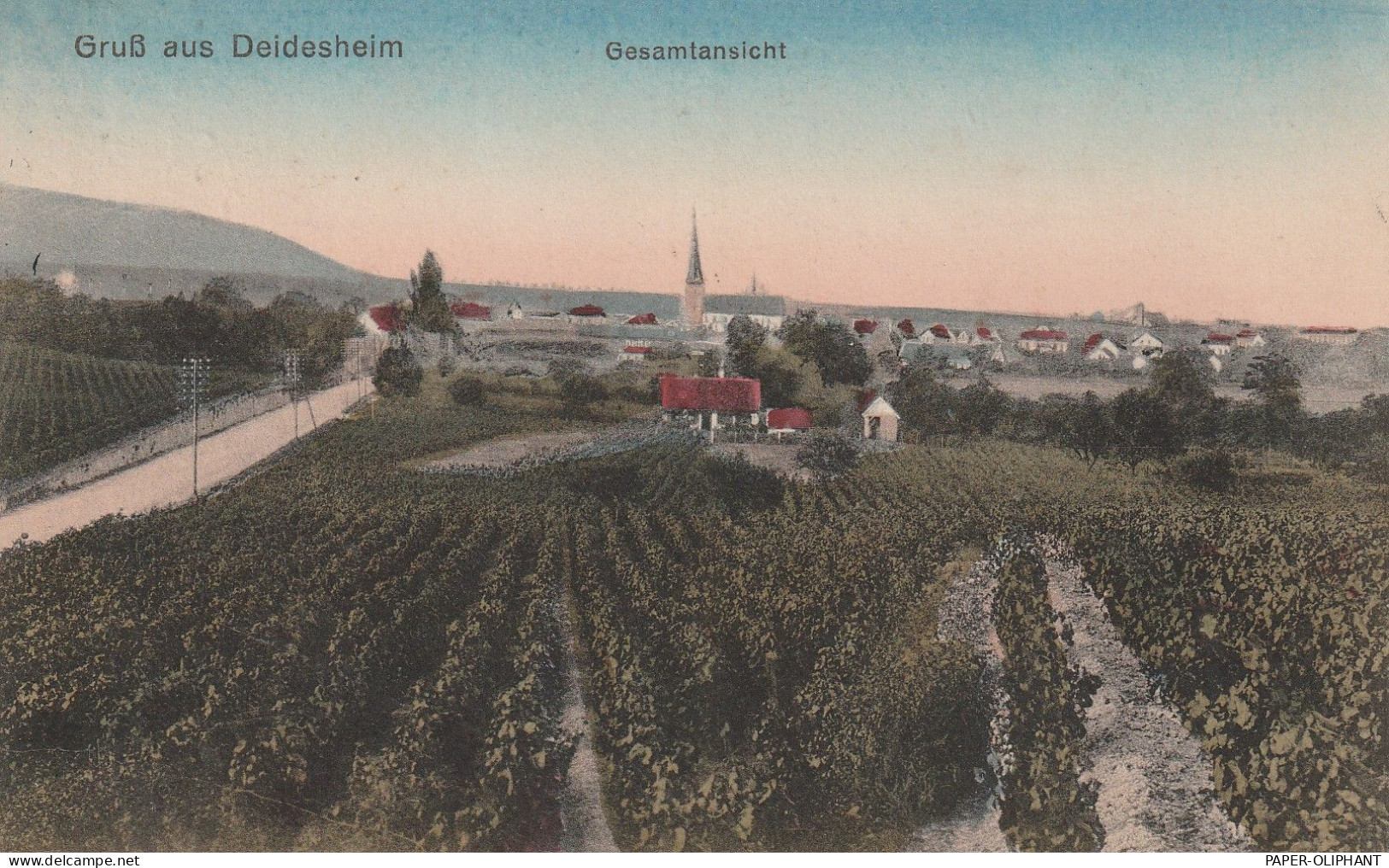 6705 DEIDESHEIM, Gesamtansicht Aus Den Weinbergen, 1919 - Deidesheim