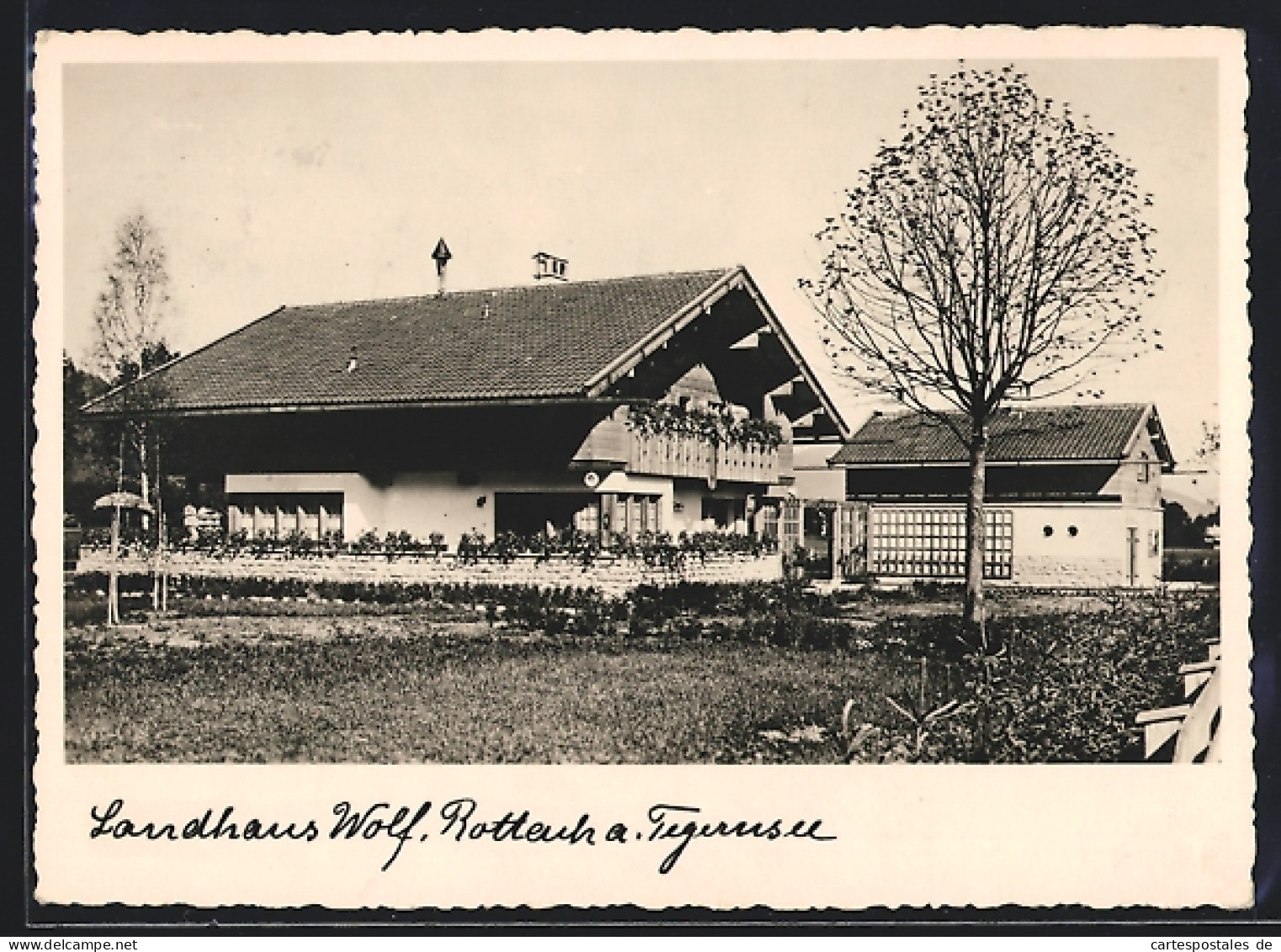 AK Rottach /Tegernsee, Hotel Landhaus Wolf Mit Nebengebäude  - Tegernsee