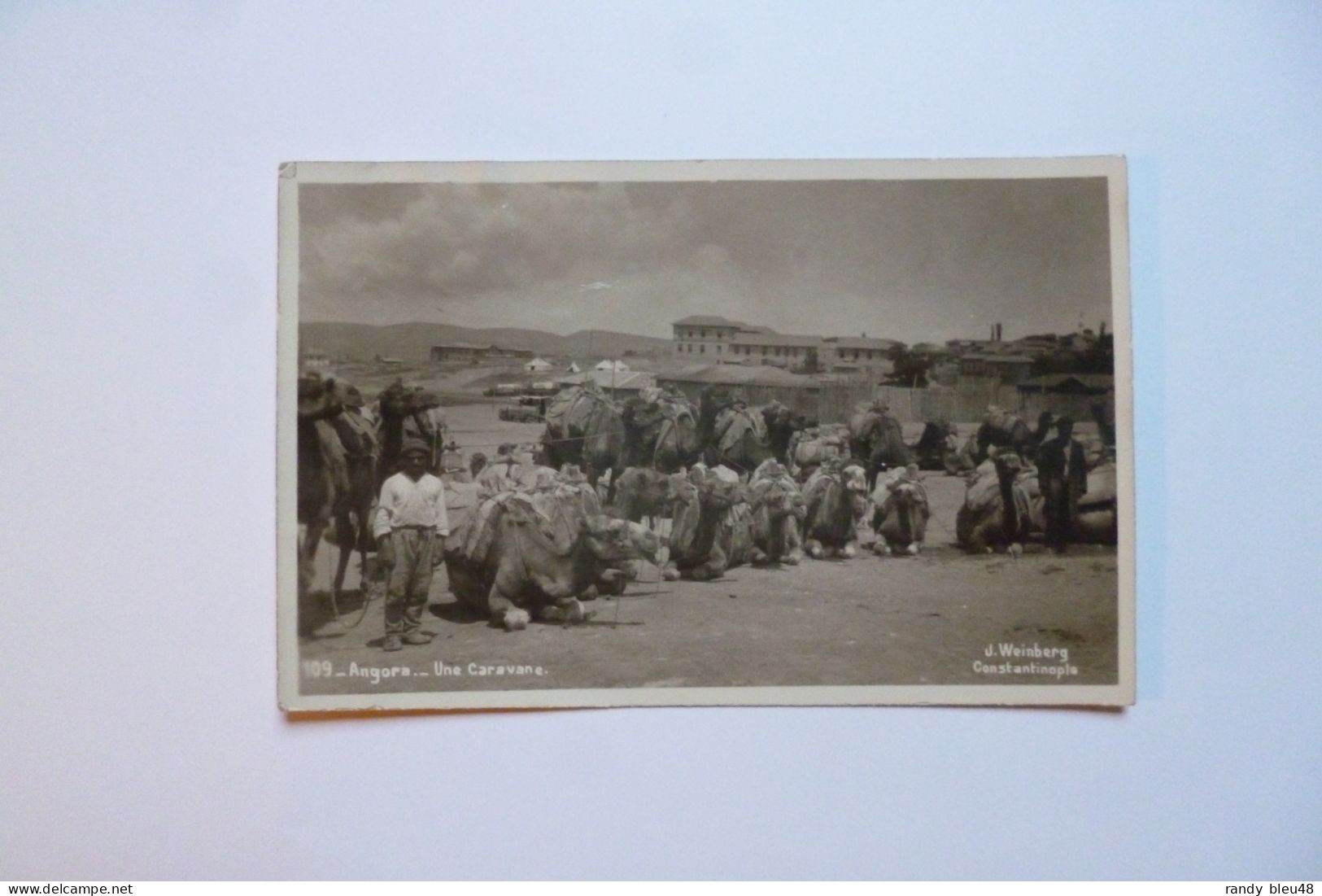 Carte Photo ANGORA  -  Une Caravane  -  Photo Weinberg ( Constantinople )  -  1930 -  TURQUIE -  RARE CARTE - Turkije