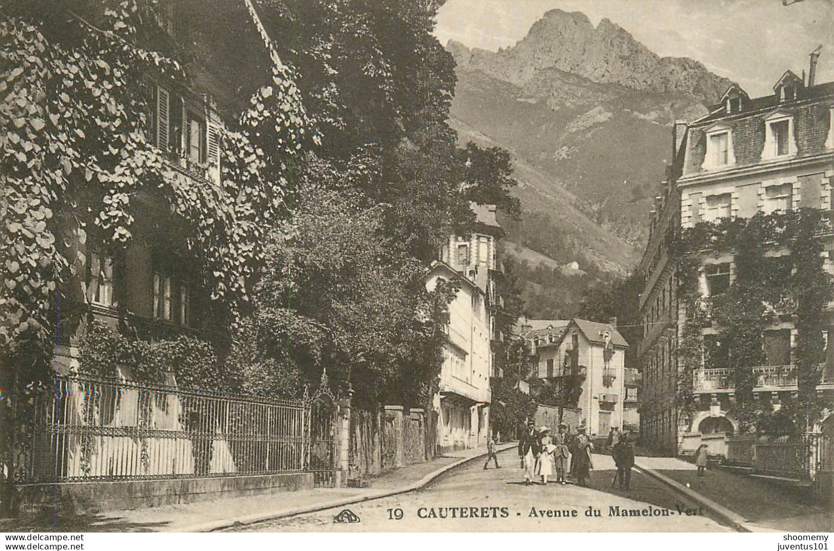 CPA Cauterets-Avenue Du Mamelon Vert-19      L2144 - Cauterets