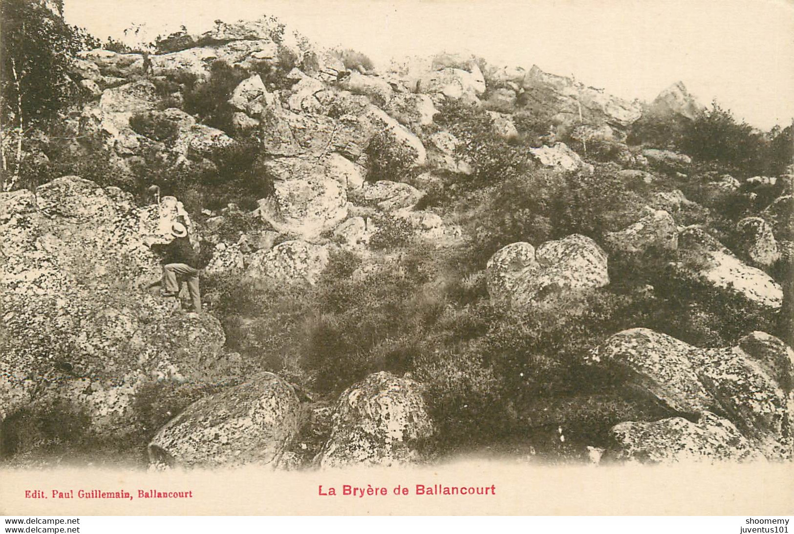 CPA La Bryère-Bruyère De Ballancourt      L1542 - Ballancourt Sur Essonne