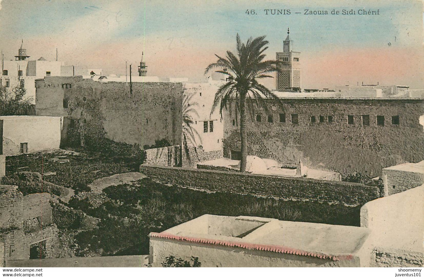 CPA Tunis-Zaouia De Sidi Chérif-46    L2049 - Tunisie