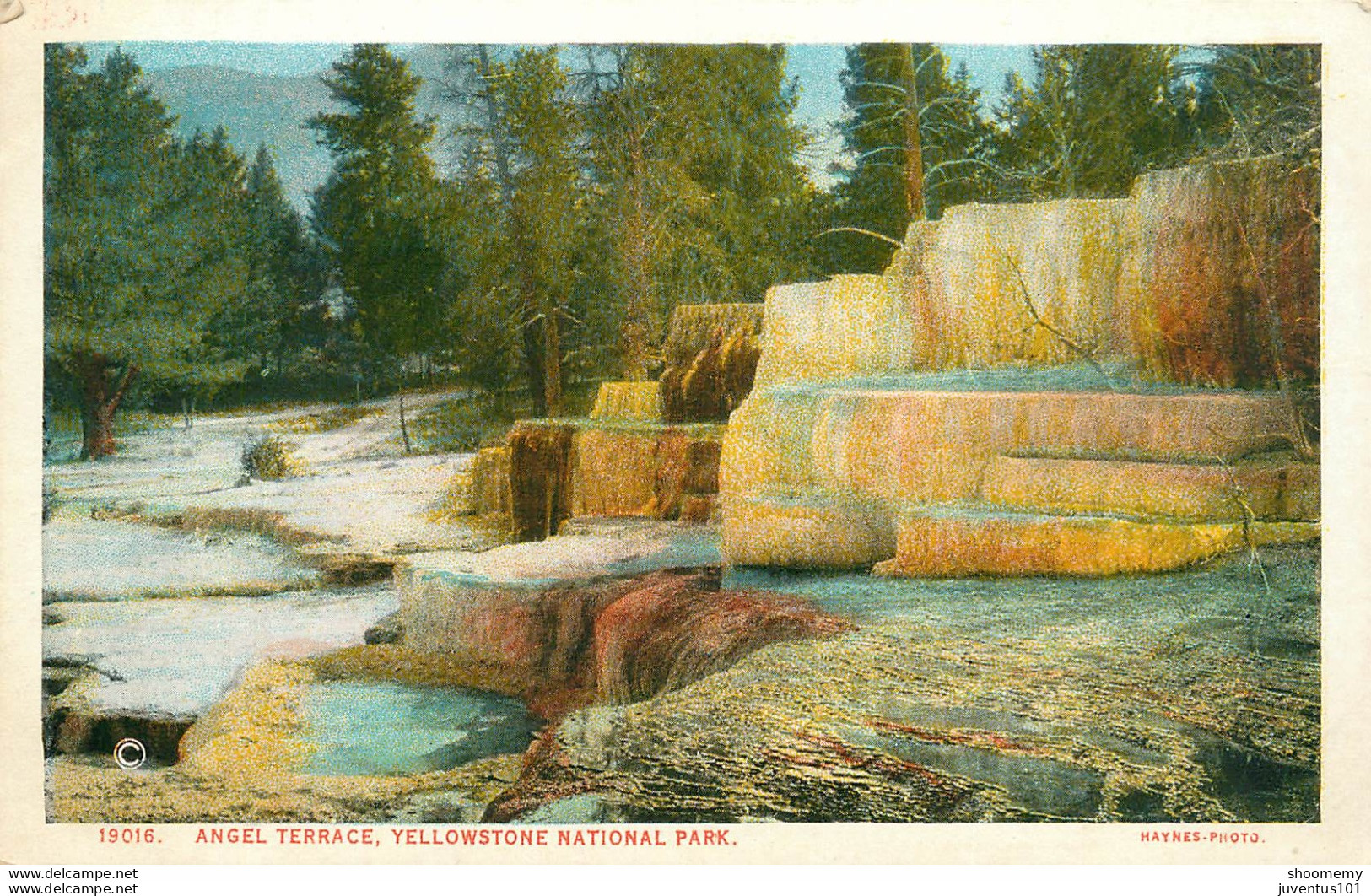 CPA Yellowstone Park-Angel Terrace-19016    L2050 - Altri & Non Classificati