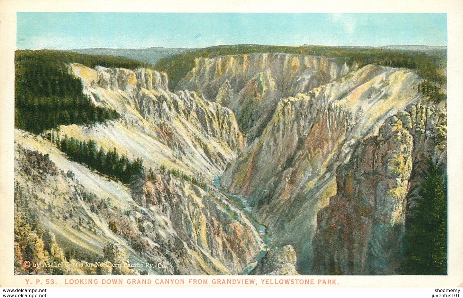 CPA Yellowstone Park-Looking Down Grand Canyon-53    L2050 - Other & Unclassified