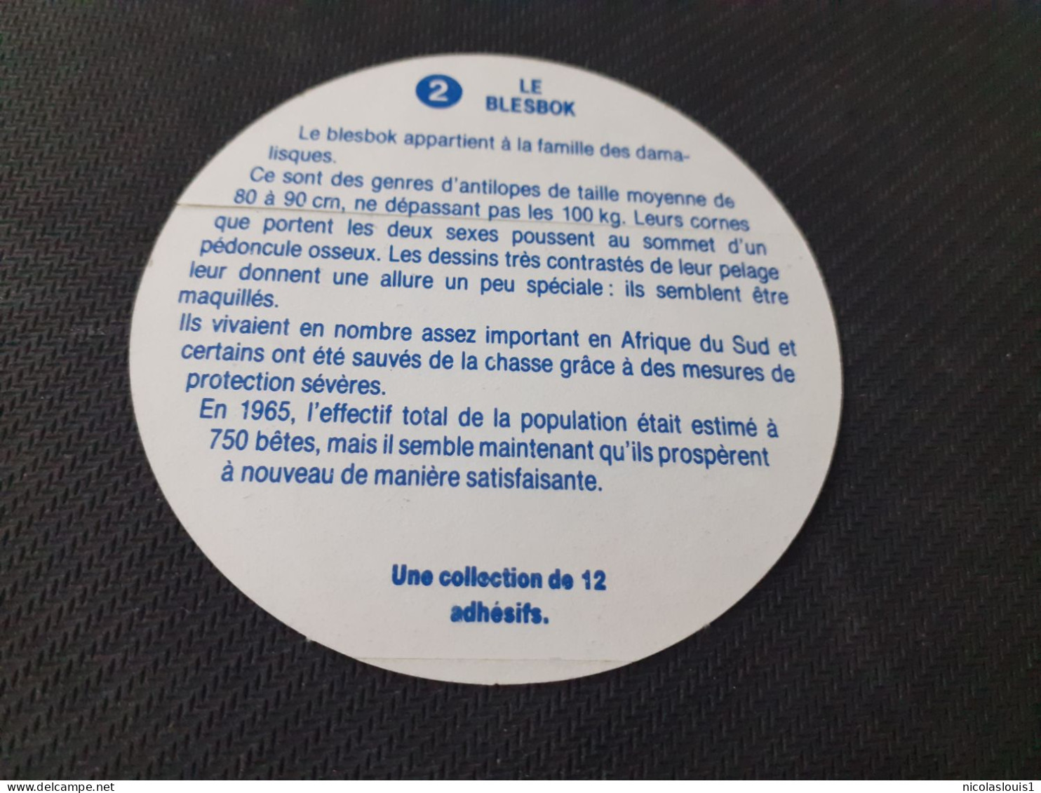 Autocollant  Vache Grosjean, Le Blesbok - Stickers