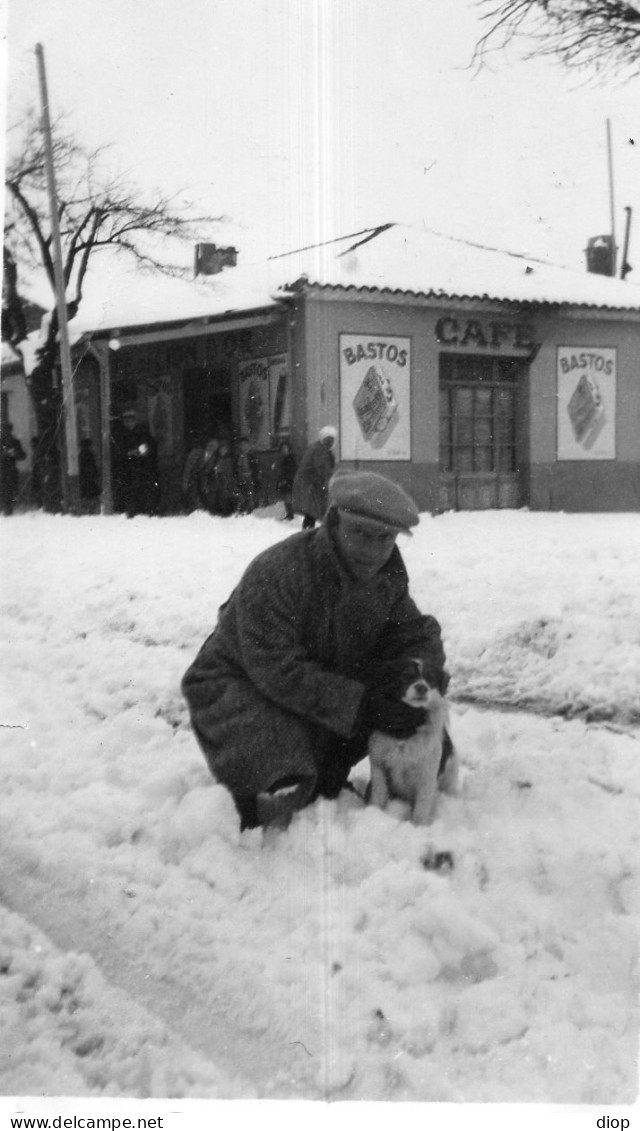 Photographie Photo Vintage Snapshot Neige Snow Chien Dog BATNA ALGERIE - Afrika