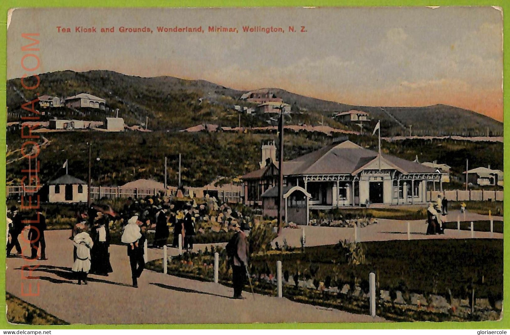 Ae9169 - NEW ZEALAND - VINTAGE POSTCARD - Wellington - 1908 - New Zealand