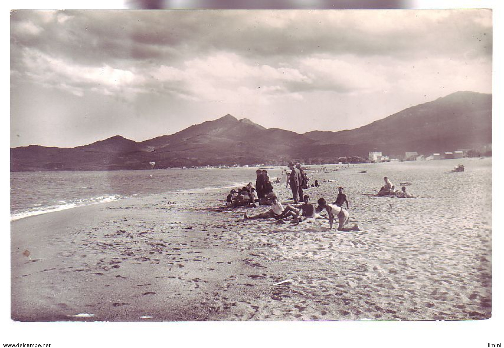 66 - ARGELES-sur-MER - LA PLAGE - LES ALBÉRES  - ANIMÉE - - Argeles Sur Mer