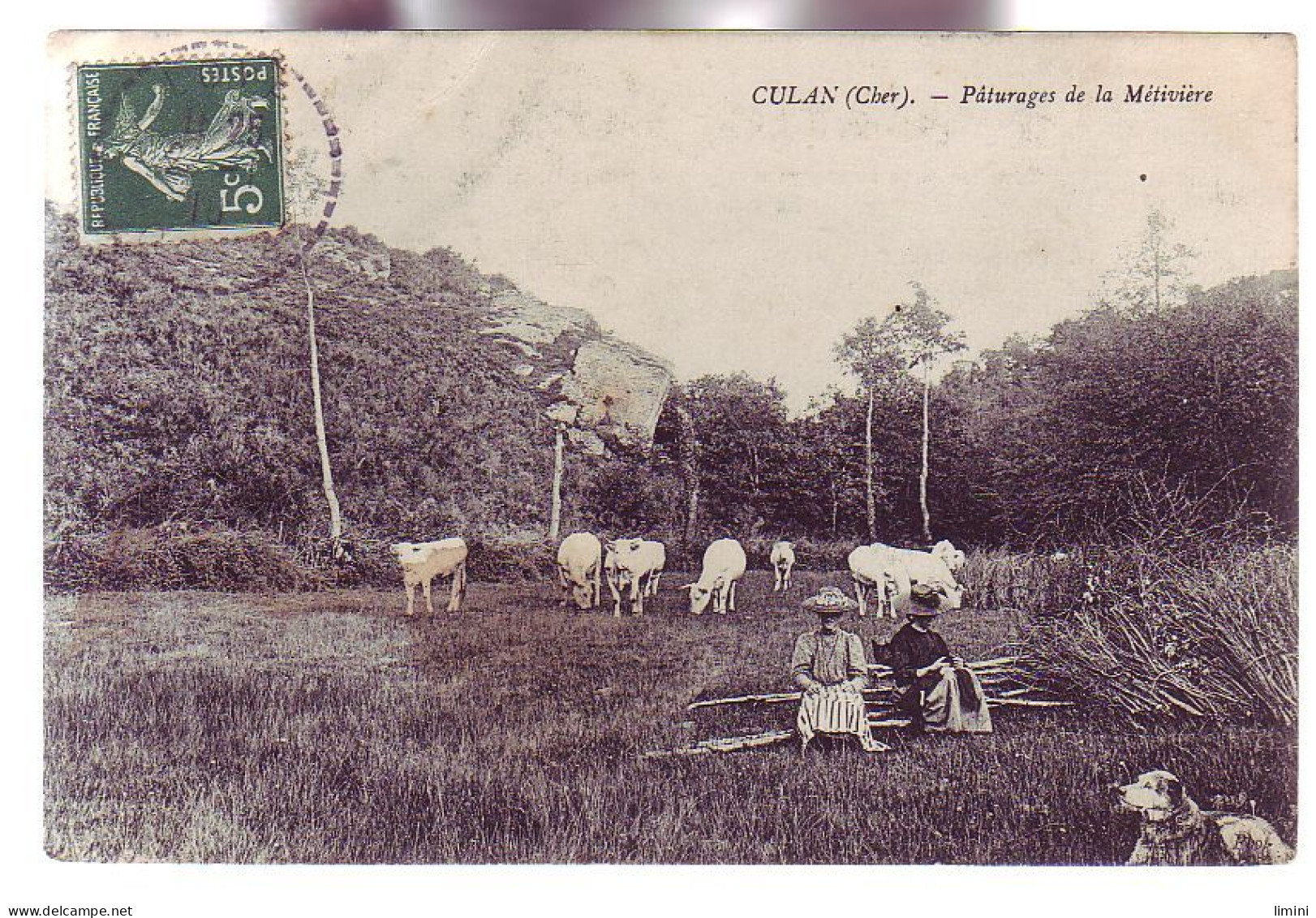 18 - CULAN - PATURAGES De La METIVIERE - ANIMÉE - - Culan