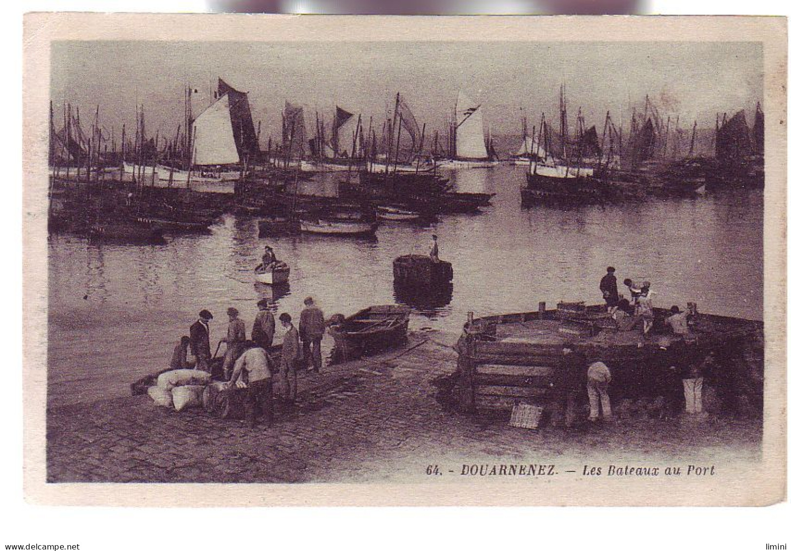 29 - DOUARNENEZ - LES BATEAUX Au PORT - ANIMÉE - - Douarnenez