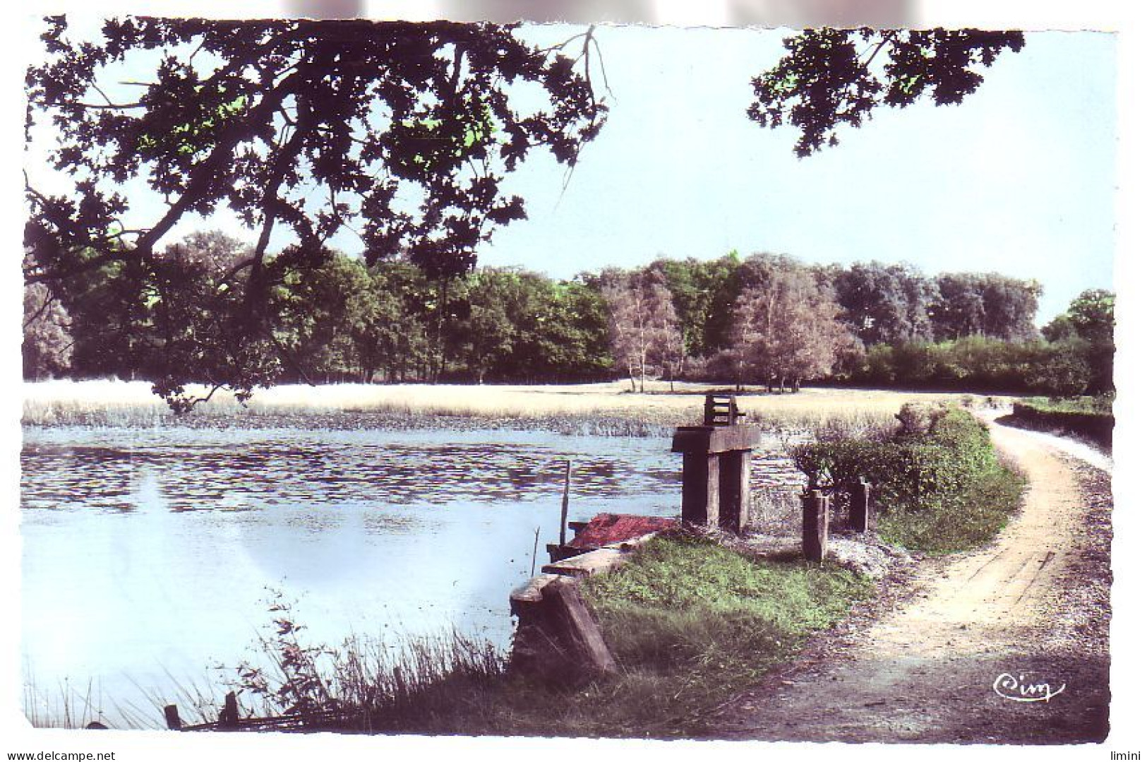 44 - DERVAL - Le FOND Des BOIS - L'ÉTANG - - Gap