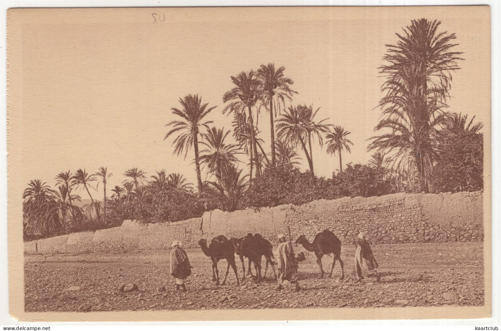 34. Bou-Saada - Caravane Dans L'Oued. - (l'Algérie) - Coll. Artistique 'L'Afrique - R. Prouho - Hussein-Dey - Otros & Sin Clasificación