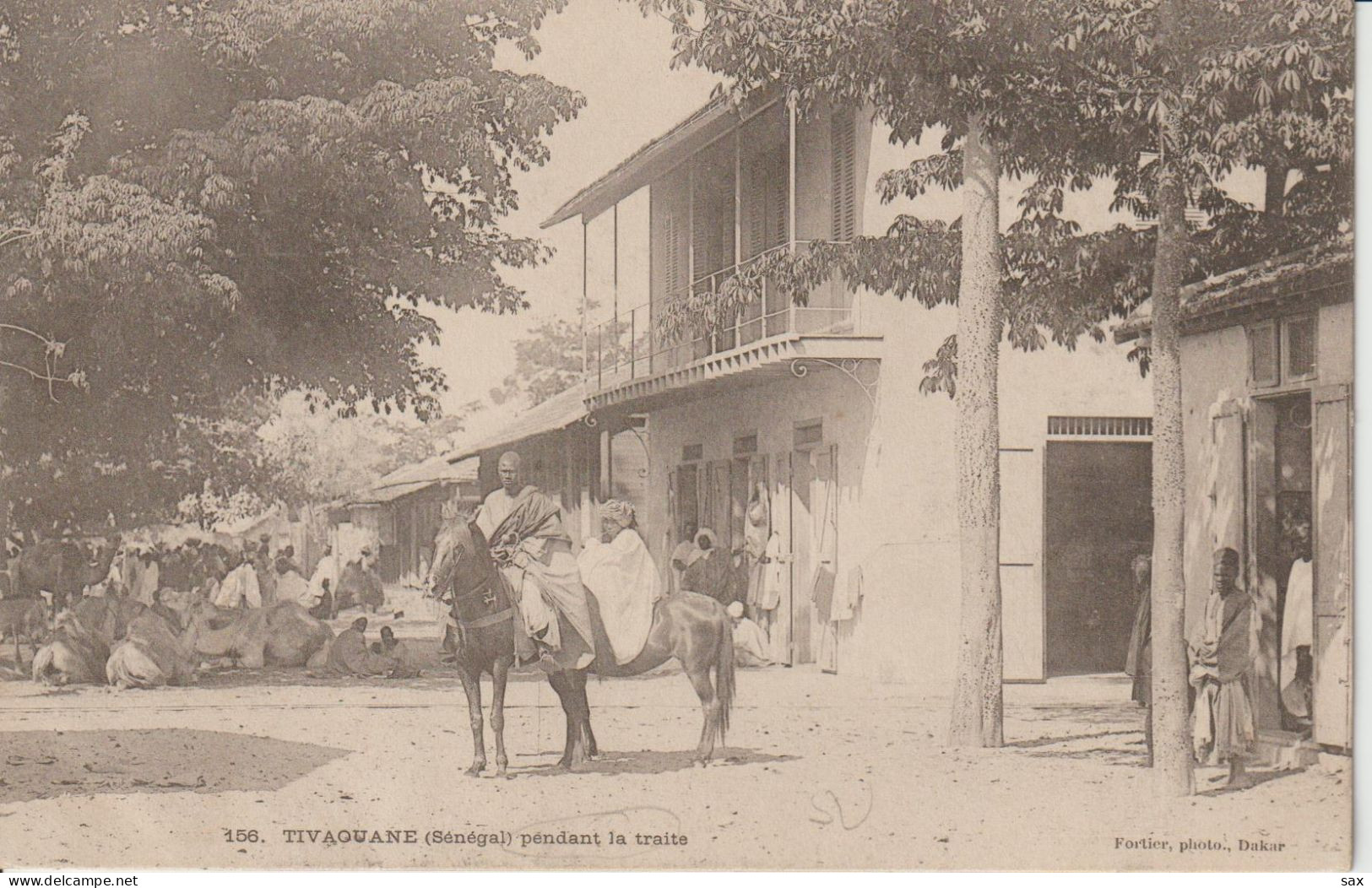 2419-145 Avant  1905 N°156 Tivaoune Pendant La Traite  Fortier Photo Dakar   Retrait Le 25-05 - Senegal