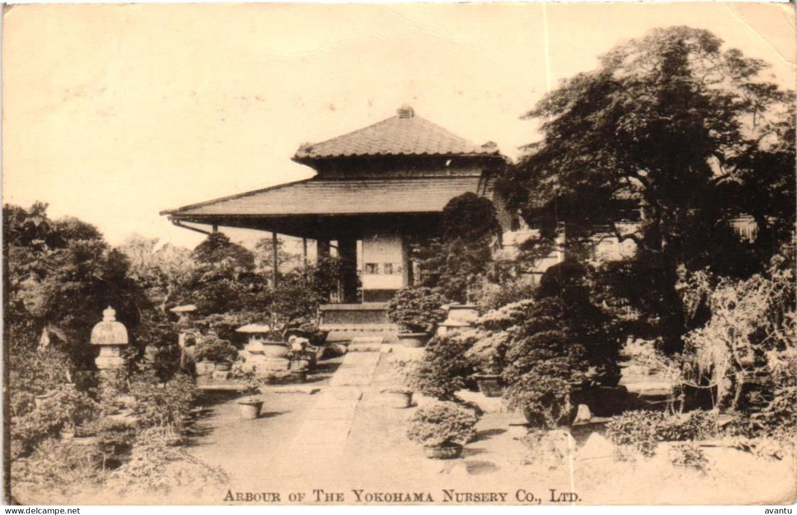 YOKOHAMA  / ARBOUR OF THE NURSERY - Yokohama