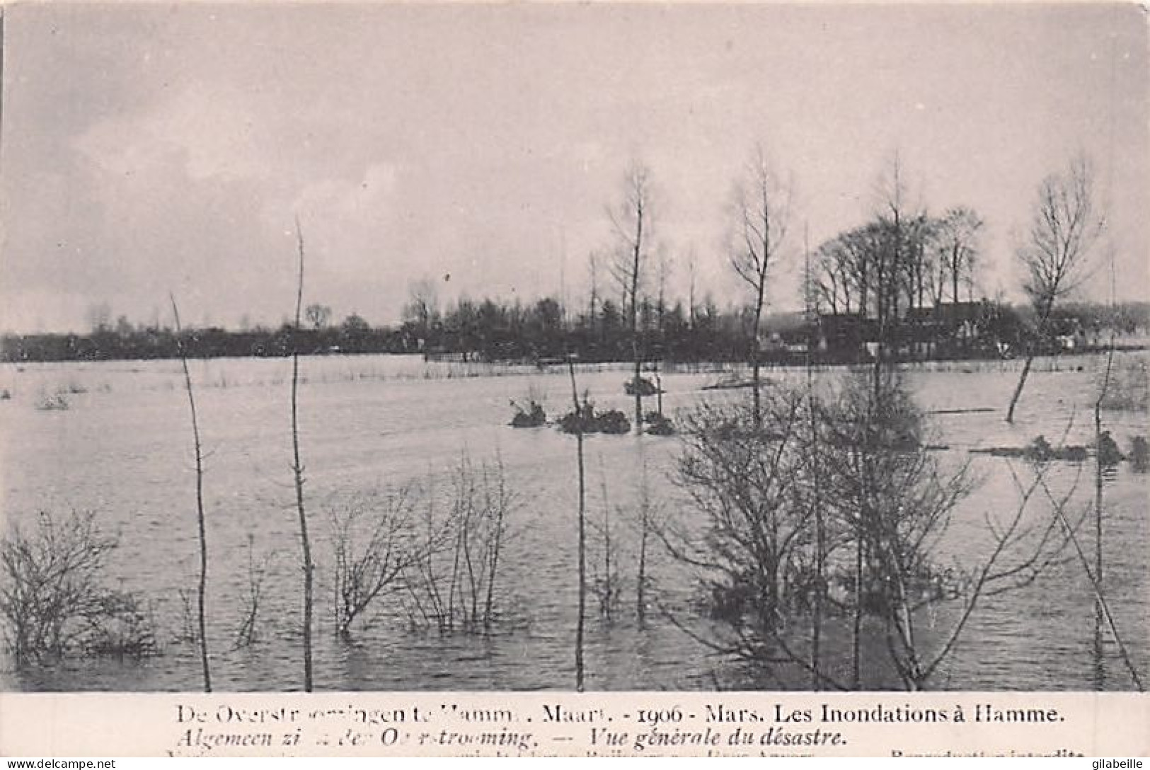 HAMME  - Overstromingen Te Hamme Maart 1906 -  Vue Generale Du Desastre  - Hamme