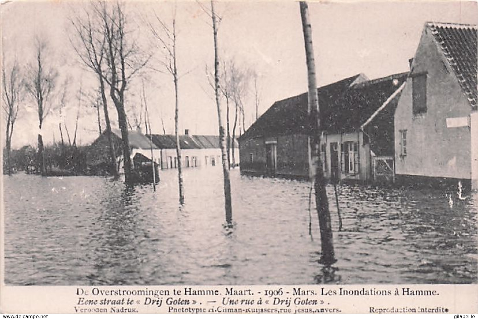 HAMME  - Overstromingen Te Hamme Maart 1906 -  Eene Straat Te "Drij Goten - Une Rue A Drij Goten - Hamme