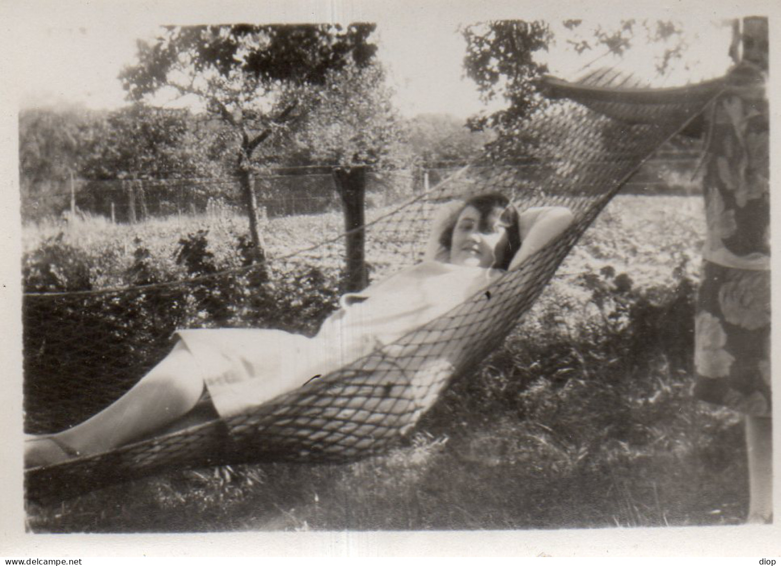 Photographie Photo Vintage Snapshot Hamac Garden Jardin Sieste Nap - Other & Unclassified