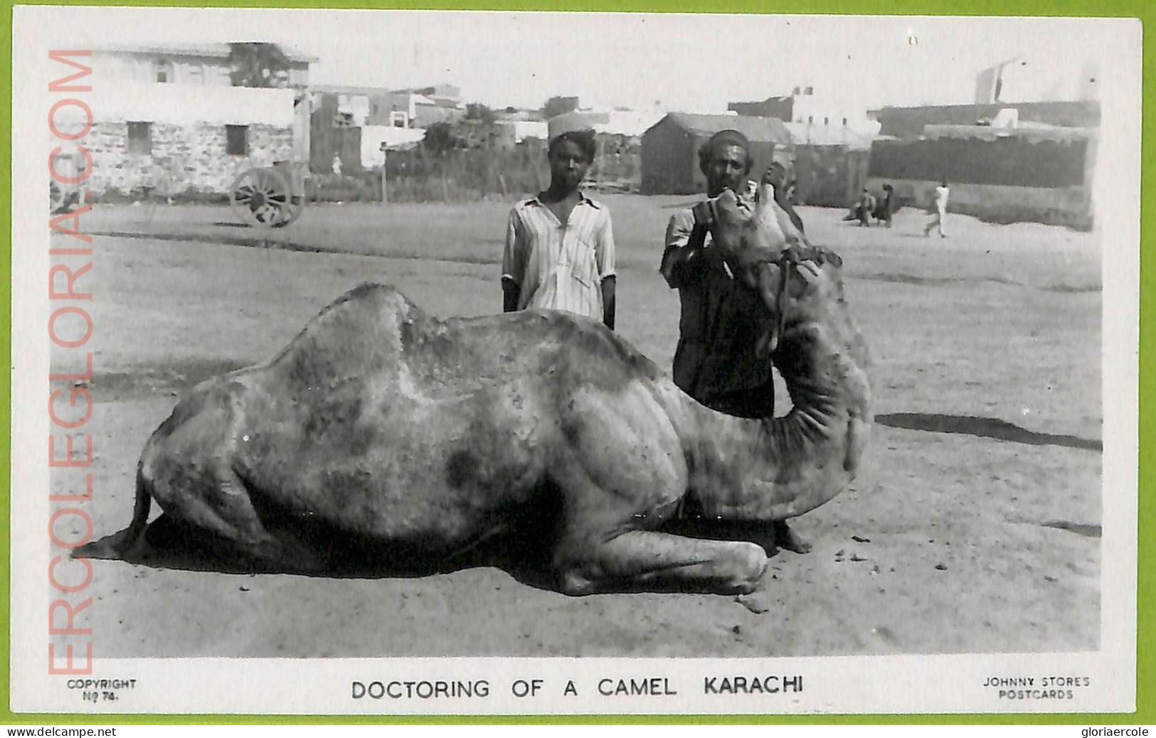 Ae9207 -  PAKISTAN -  VINTAGE POSTCARD - Karachi - Doctoring Of A Camel - Pakistán