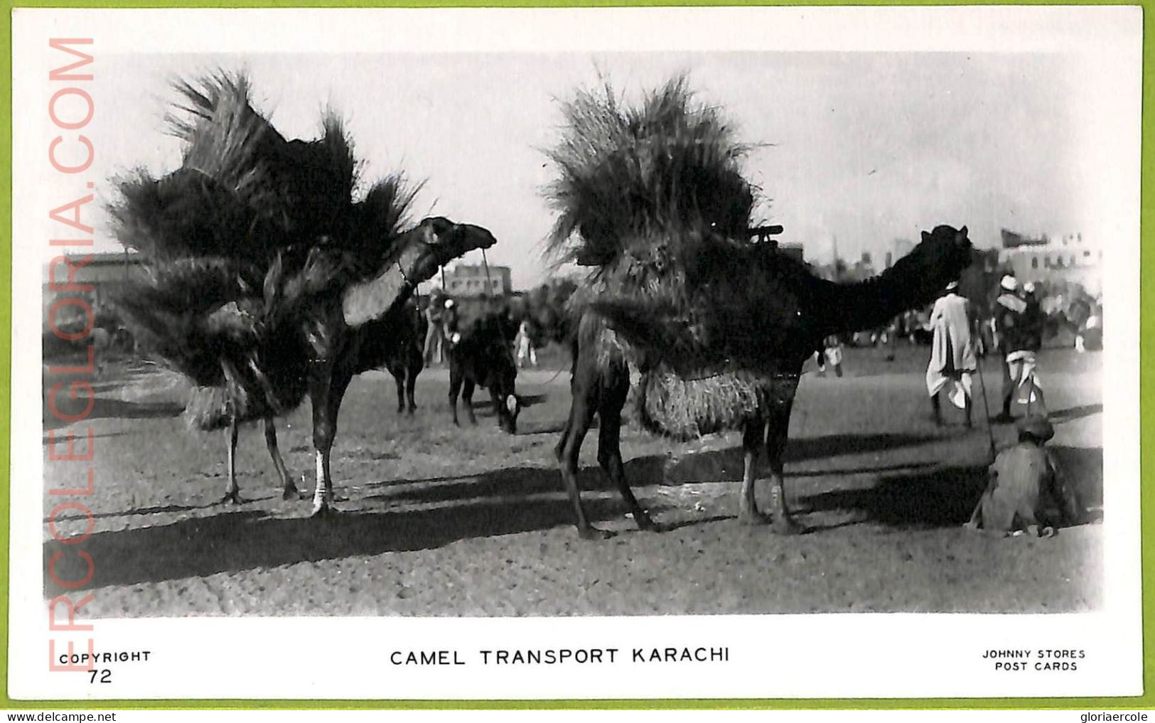 Ae9209 -  PAKISTAN -  VINTAGE POSTCARD - Karachi - Camel Transport - Pakistan
