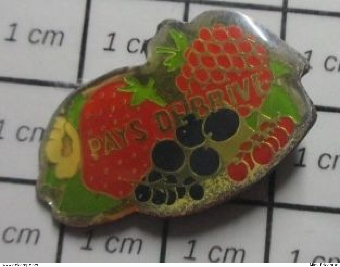1818A Pin's Pins / Beau Et Rare / ALIMENTATION / FRUITS PAYS DE BRIVE FRAISE FRAMBOISE PRUNES CERISES - Alimentación