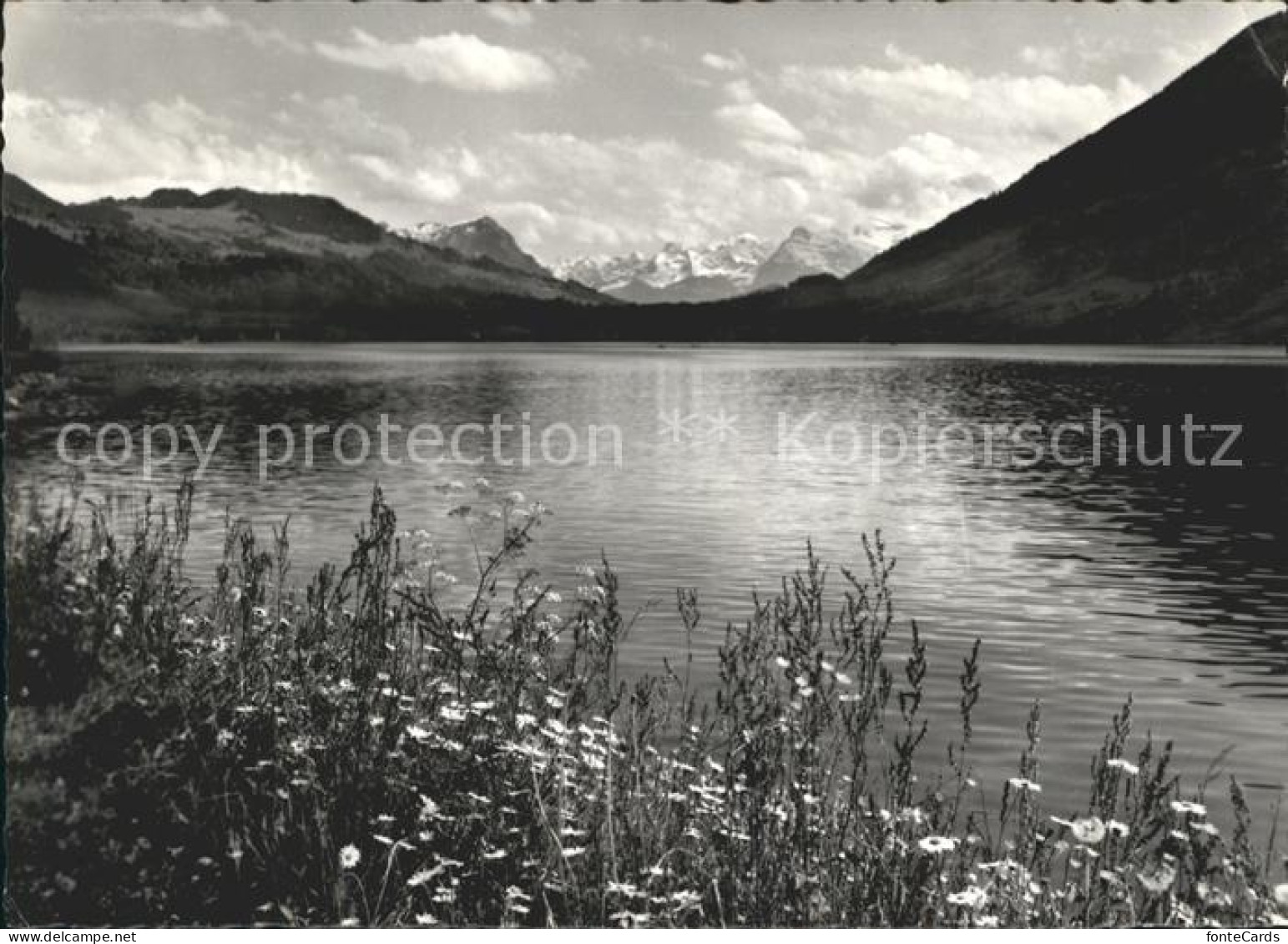 11654572 Oberaegeri Am Aegerisee Oberaegeri - Sonstige & Ohne Zuordnung