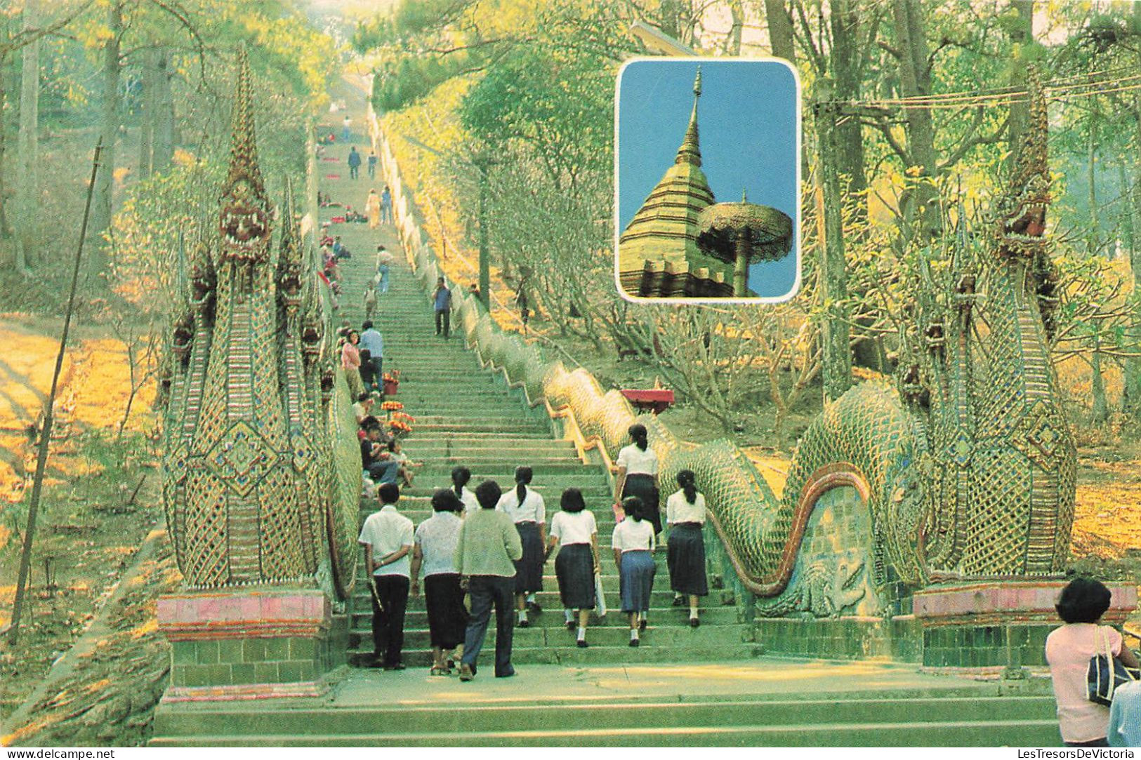 THAILANDE - Steps Leading Up To The Temple With Lord Buddha's Relics On Doi Suthep In Chiengmai - Animé - Carte Postale - Thaïlande
