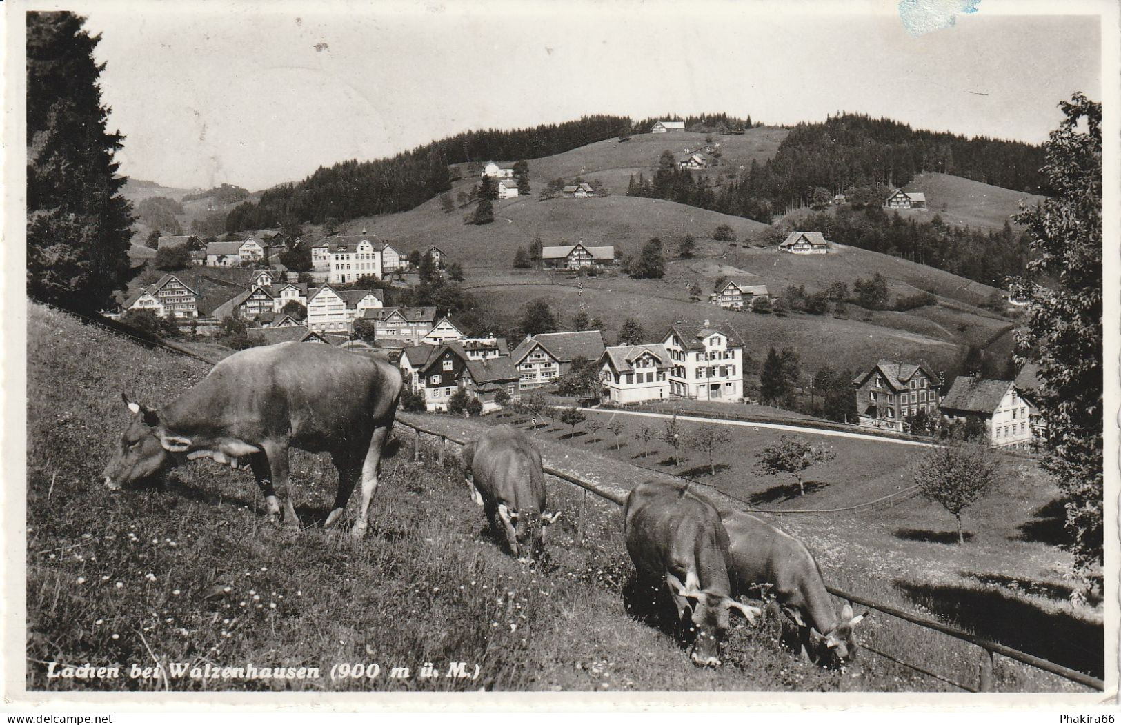 LACHEN BEI WALZENHAUSEN - Walzenhausen