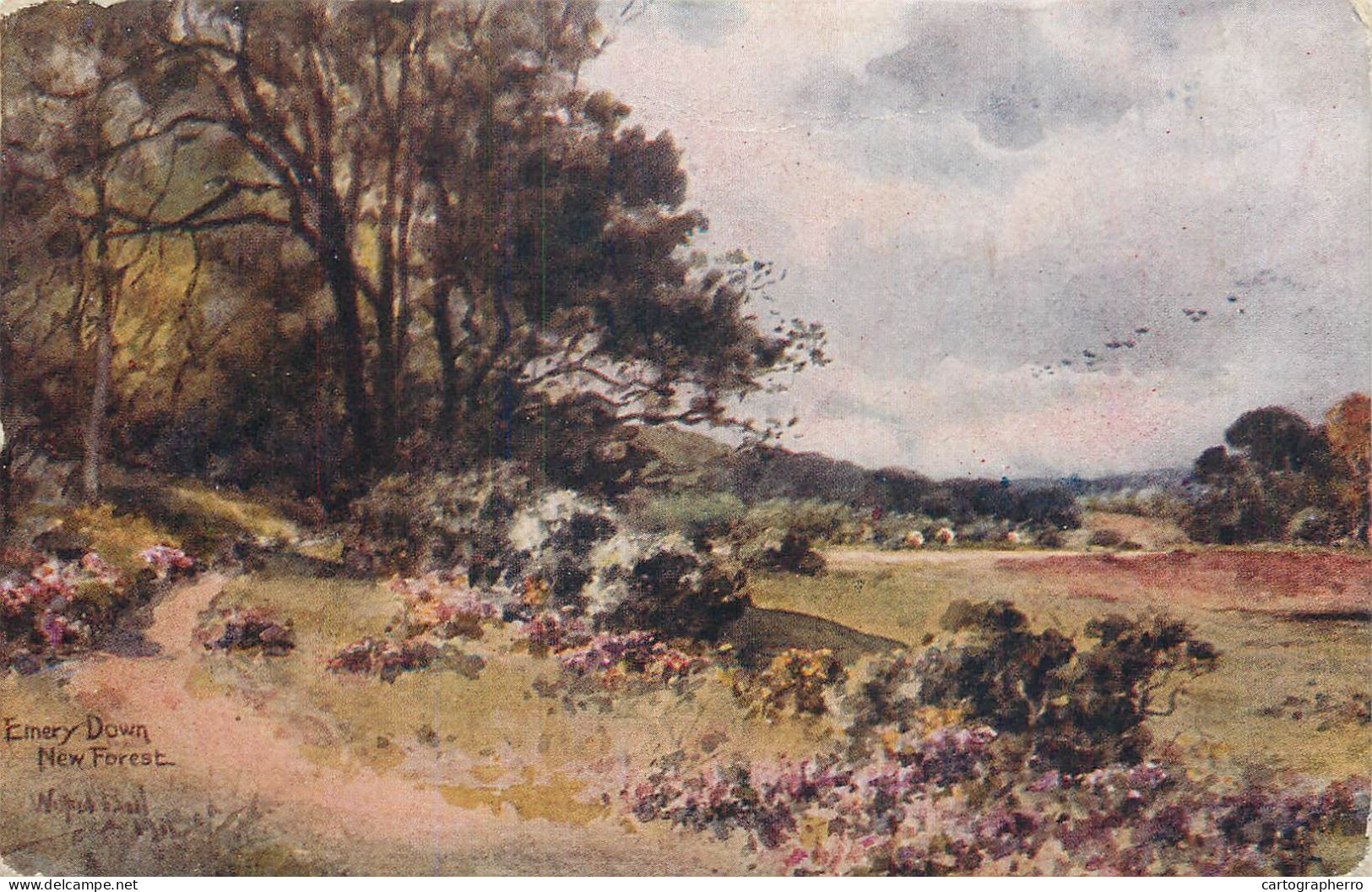 Scenic Postcard England New Forest Emery Down Landscape - Other & Unclassified