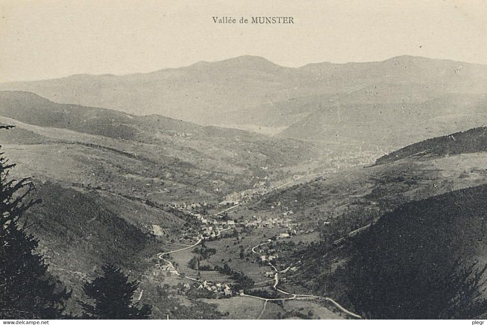 68226 01 03#0 - VALLEE DE MUNSTER - Munster