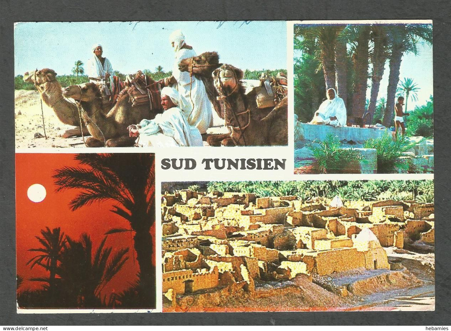 SUD TUNISIEN - SOUTH TUNISIA - TUNISIA - - Tunisie